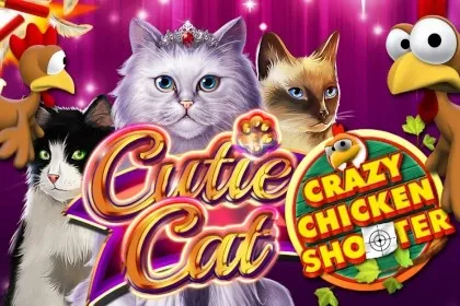 Cutie Cat Crazy Chicken Shooter – Chicken Road Italia